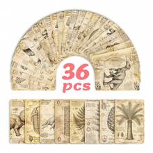 36张恐龙科学知识闪卡，早期教育史前生物闪卡，教学辅助卡 - 36張恐龍科普知識卡 - 查看 5