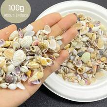 100克什锦彩色迷你贝壳，适合DIY手工艺品、剪贴簿、装饰生态瓶和水族箱 - A - 查看 6
