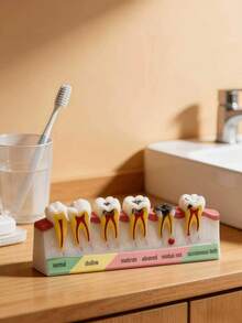 Modelo de patología de caries dental, demostración de salud oral, accesorio de exhibición de etapas de enfermedades dentales, adorno para regalo de dentista, higienista dental, educación en escuela dental - Multicolor - Ver 1