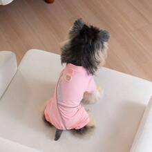 Quần áo mùa xuân in hình kem cho cún con - Màu vàng - Xem 7