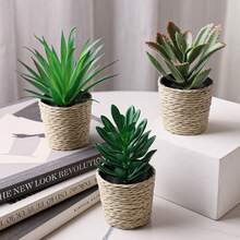 Bộ 3 chậu cây giả mini hình cây mọng nước nhiệt đới, chậu đan bằng rơm màu trắng, đường kính 6,5 cm / 2,55 inch, trang trí bằng dây rong biển, làm từ chất liệu PE. Hoàn hảo để trang trí bàn làm việc, ký túc xá sinh viên và văn phòng. Những chậu cây giả này cũng lý tưởng để trang trí nhà cửa, làm cảnh quan, trang trí tiệc/ngày lễ và trang trí tiệc sinh nhật. - Nhiều màu-A - Xem 13