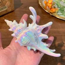 1pc Vacation Style Sea Shell Hair Clip  Shark Clip Versatile Temperament Hair Accessory - 白海螺 - 查看 8