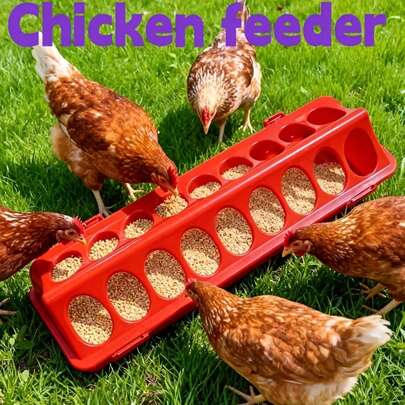 1pc Multi-Hole Chicken Feeder, Chick Rearing Feeder, Elongated Multi-Hole Bird Feeder, Anti-Scratch Chicken Trough, Poultry Feeder, Livestock Supplies, Chick Trough, Quail Feeder, Chicken Feeder