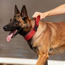 重型战术犬项圈，带控制手柄和快拆金属扣，加厚可调节，带反光条，适合中大型犬训练，军用犬项圈 - 彩色 - 查看 2
