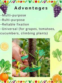 50/100/200个装可重复使用园艺扎带，用于植物藤蔓、树木、灌木的支撑，带锁扣和可调节拉链，是整理线缆的理想选择。 - 條狀 - 查看 5