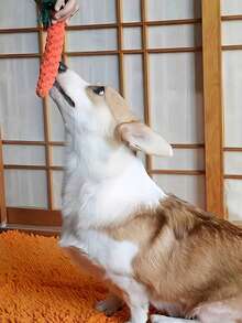 1 món đồ chơi gặm hình củ cà rốt cho thú cưng, đồ chơi bằng dây cotton, đồ chơi hình củ cà rốt dệt bền chắc, thích hợp cho việc chăm sóc răng miệng của chó và mèo. - Nhiều màu - Xem 4