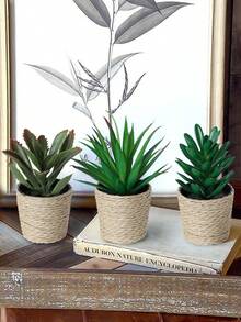 Bộ 3 chậu cây giả mini hình cây mọng nước nhiệt đới, chậu đan bằng rơm màu trắng, đường kính 6,5 cm / 2,55 inch, trang trí bằng dây rong biển, làm từ chất liệu PE. Hoàn hảo để trang trí bàn làm việc, ký túc xá sinh viên và văn phòng. Những chậu cây giả này cũng lý tưởng để trang trí nhà cửa, làm cảnh quan, trang trí tiệc/ngày lễ và trang trí tiệc sinh nhật. - Nhiều màu-A - Xem 6