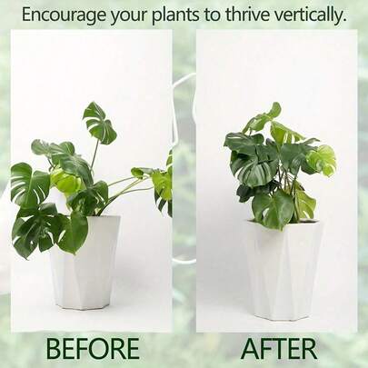 1 Giá đỡ cây trồng bền chắc, có thể điều chỉnh, bằng sắt rèn, dụng cụ trang trí cố định cây trồng trong chậu ngoài trời, hệ thống ổn định và hỗ trợ cây trồng - Giá đỡ cây leo bằng kim loại, lý tưởng cho sự phát triển khỏe mạnh của cây, cấu trúc hỗ trợ cây trồng | Giá đỡ cây leo | Bộ ổn định bằng kim loại