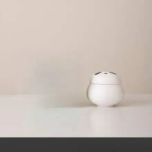 Cute Panda Ceramic Tea Canister Household Small Sealed Tea Storage Jar Moisture-Proof Decorative Ornament - Phong cách Zen màu đen - Xem 5