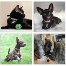 Sparkling Rhinestone Pet Collar, Fancy Diamond Decor Collar For Small Medium Dogs & Cats - 粉色 - 查看 5