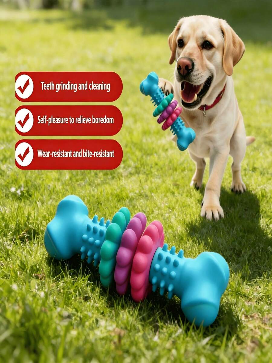 Durable Rubber Bone-Shaped Dog Toy, Suitable For Small And Medium Dogs, Helps Relieve Gum Discomfort, Pet Play Toy - Multicolor - View 1