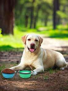 1pc Blue & Green Pet Travel Bowl, 3 Interchangeable Modes, With Secure Lid Easy To Clean, Suitable For Dogs Outdoor Travel Camping Hiking, Ideal Pet Gift - Multicolor - View 2