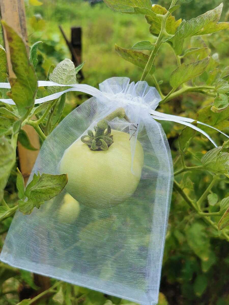 透明薄纱礼品袋,配彩色抽绳 - 透气网眼礼品袋,适用于婚礼、珠宝、化妆品、糖果甜点等,是节日和派对的完美之选,小巧礼品袋 - 彩色 - 查看 1