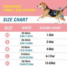 Gói 10 chiếc, tã dùng một lần cho chó cưng, quần lót sinh lý Teddy, tã cho chó cưng. - L - Xem 3