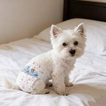 Gói 10 chiếc, tã dùng một lần cho chó cưng, quần lót sinh lý Teddy, tã cho chó cưng. - L - Xem 13