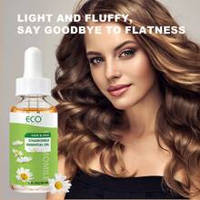 ECO FINEST 1 液盎司洋甘菊精油 - 这是一款预先调配好的按摩油，无需与基础油混合，纯精油，配有滴管 - 天然精油，适用于头发和皮肤护理、肥皂和蜡烛制作，洋甘菊油 - Chamomile Oil - 查看 5