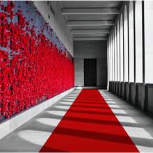 39*393英寸豪华高端红毯，适合室内外使用，可用于婚礼、生日派对、舞会、红毯仪式、电影主题派对等场合。 - 紅色 - 查看 14