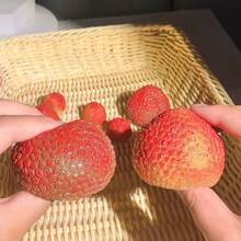 1pc Creative Simulated Lychee Squeeze Soft Fruit Stress Relief Lychee - Multicolor - View 2