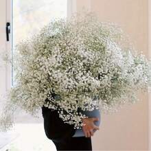6/10/14pcs White Gypsophila Artificial Flower Bouquet, Fake Gypsophila Flowers In Bulk Packaging With Plastic Stems, Suitable For Home Decor, Tabletop Decor, DIY Floral Arrangement, Wedding And Holiday Party Decoration, Room Decor - White - View 6