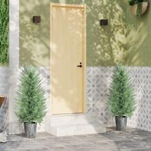 Live Plants - Green - View 4