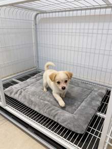 Cama lavable para perros (adecuada para perros pequeños y gatos), Almohadilla suave para jaula de perro, Estera delgada para perros - Tamaño 45x60cm/17x23 pulgadas, Sistema gris, Almohadilla delgada - Multicolor - Ver 6