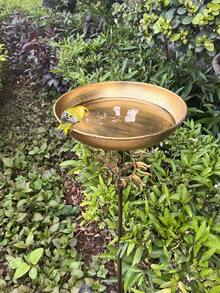 1pc Vintage Outdoor Bird Bath, Metal Bird Feeder, Outdoor Bird Bathtub, Hummingbird Feeder, Suitable For Garden, Yard, Patio And Lawn Decor, Outdoor Decoration, Ideal Gift For Bird Lovers, Attracts Wildlife, Perfect Garden Decor - Multicolor - View 5