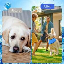 Banda/Collar de enfriamiento para perros, ligero y transpirable, con enfriamiento duradero de 8 horas, esencial para refrescarse al aire libre en verano, esencial para viajar a la playa, paquete de hielo para perros agrandado, collar de enfriamiento deportivo, accesorios para perros, regalos para cachorros, suministros para mascotas, almacenamiento portátil, suministros para perros, perro feliz, suministros esenciales para cachorros, mi cachorro - Azul - Ver 3