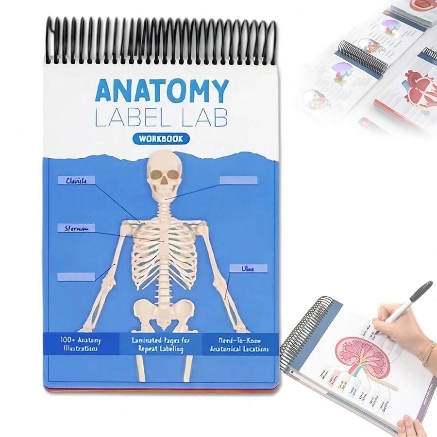 1pc Anatomy Labelled Lab Workbook, 100+ Full-Color STEM Alumni Pages With Human Anatomy Illustrations, Interactive Labeling Practice & Anatomy Terms For Medical Students, Biology Students, Researchers - 1 Set - Visa 1
