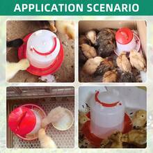 1.5 Kg/3 L Automatic Chicken Poultry Waterer Bucket Feeder High Quality Water Barrel Drinker Bucket Quail Drinking Farm Supply - 3L Waterer - View 5