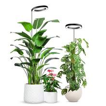 165cm Height Adjustable LED Ring Grow Lights Indoor Plants Full Spectrum Large Plant Light For Indoor Plants USB Growing Lamp - Blue - View 4