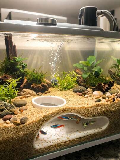 Aquarium Fish Tunnel Hideaway | Natural Curved Cave Decor Suitable For Bettas, Gouramis, Corydoras | Freshwater & Saltwater Tank Accessory | Easy Install Fish Hiding Place