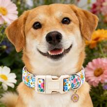 Elegant Little Tail Dog Collar Pink Daisy Floral Pattern Soft Pet Collars With Quick Release Girl Adjustable Pet Collar For Small Medium Large Dogs - Baby Blue - View 6