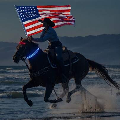 1件装LED发光马项圈，夜间骑行表演用马术装备，可调节尺寸马术装备，运动马术用品