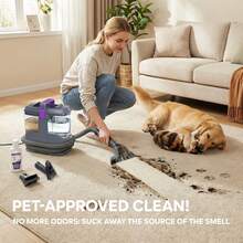 INSE C9S Portable Carpet Cleaning Machine 13kPa 450W, Upholstery Cleaner Wet/Dry Vacuum Cleaner For Car And Sofa, Powerful Stain Remover For Pet Hair With 3 Brushes - Purple - View 9