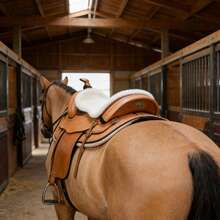 Almohadilla de silla de montar, cojín de silla de montar amortiguador de golpes, almohadilla de silla de montar de felpa blanca, para equitación estable, suministros duraderos para caballos - Ver 6