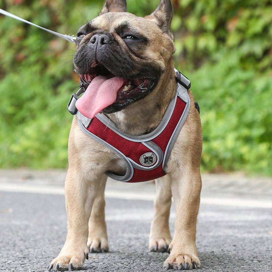 Reflective Padded Dog Harness Vest With Leash, Adjustable For Small To Medium Dogs, No Pulling Or Choking