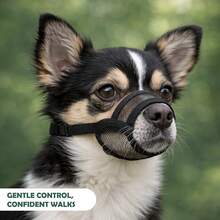 中型犬嘴套 - 柔软舒适，适合中型犬，透气网状设计 | 用于防止咬人、吠叫和啃咬 | 不影响呼吸和饮水 - 黑色 - 查看 3