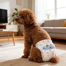 Gói 10 chiếc, tã dùng một lần cho chó cưng, quần lót sinh lý Teddy, tã cho chó cưng. - L - Xem 4