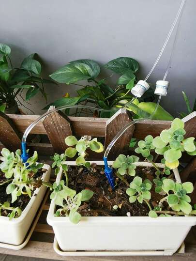 植物滴灌套装 - 滴灌袋、自动浇水针、自动植物浇水系统 | 家用喷灌器，适用于幼苗、室内植物、苗圃、阳台