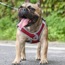 Reflective Padded Dog Harness Vest With Leash, Adjustable For Small To Medium Dogs, No Pulling Or Choking - Red - View 9