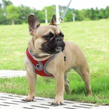 Reflective Padded Dog Harness Vest With Leash, Adjustable For Small To Medium Dogs, No Pulling Or Choking - Red - View 4