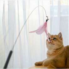 Feather Cat Teaser Wands In Multiple Colors, Cat Toys For Playing With Pets - Multicolor - View 5