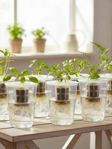 水培种植盆 - 透明塑料圆柱形水培种植套装，高透明度封闭式栽培水杯，透明设计便于观察根系生长，小孔设计便于通风 - A - 查看 5