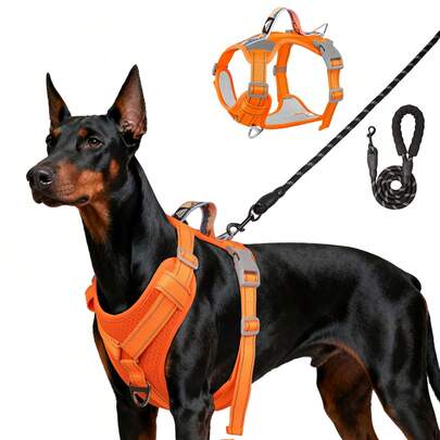 2pcs/Set Large Dog Tactical Chest Harness & Leash, Anti-Pulling Military Service Leash (With Handle + Webbing Attachment System), Easy Control For Dog Walking, Adjustable Shoulder Strap With Reflective Strips