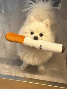 尖叫柔軟煙霧感狗狗玩具，適合柯基、拉布拉多及小型到中型犬的磨牙玩具，母親節禮物、萬聖節禮物，貓咪用品、狗狗用品、幼犬遊戲玩具，貓玩具、狗玩具，返校季 - 白色 - 查看 2