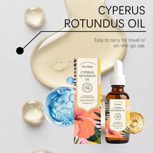 60ml Fragrant Nutsedge Multi-Scenario Aromatherapy Essential Oil, Compatible With Aroma Diffuser, Humidifier, Fragrance Stone, Fresh Air Scented Oil - Multi Scents - View 8