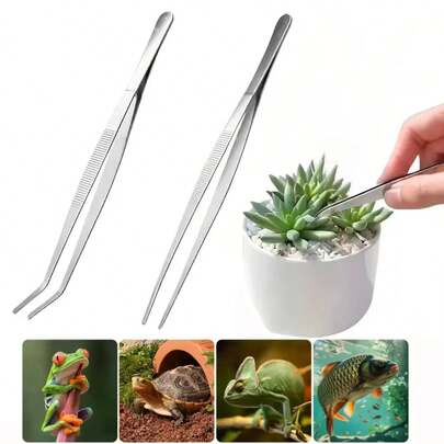 2支装不锈钢镊子，便携式多用途，设计用于多种用途，包括茶艺、水生植物摆放和多肉植物养护