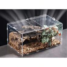 Akryl reptilhabitatlåda, litet husdjursterrarium för spindlar, ödlor, bönsyrsa, transparent observationsbehållare - Multifärgad - Visa 6