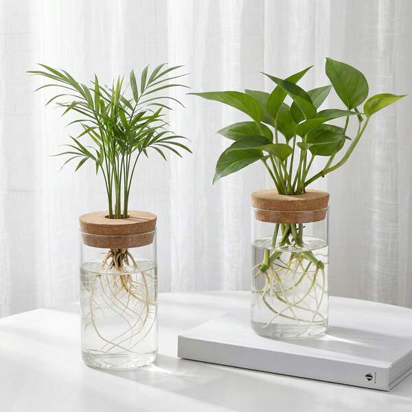 Tomnk 4/8pcs Glass Propagation Stations For Plants - Desktop Flower Vases, Propagation Flower Vases Set – Half Large & Half Small For Plant Cuttings, For Living Room, Bedroom Decoration, Home, Office Decor, Mother's Day Decor, Ideal Mother's Day Gift