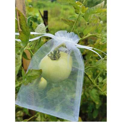 Sheer Organza Gift Bags With Colorful Drawstrings - Breathable Mesh Favor Pouches For Weddings, Jewelry, Makeup, Candy & Desserts, Perfect For Festivals & Parties, Small Gift Bags